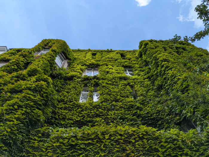 Zum Vergleich das gleiche Motiv mit dem Pixel 10 Pro Fold: Der Vorgänger hat noch stärker gesättigte Bilder gemacht. (Bild: Tobias Költzsch/Golem)